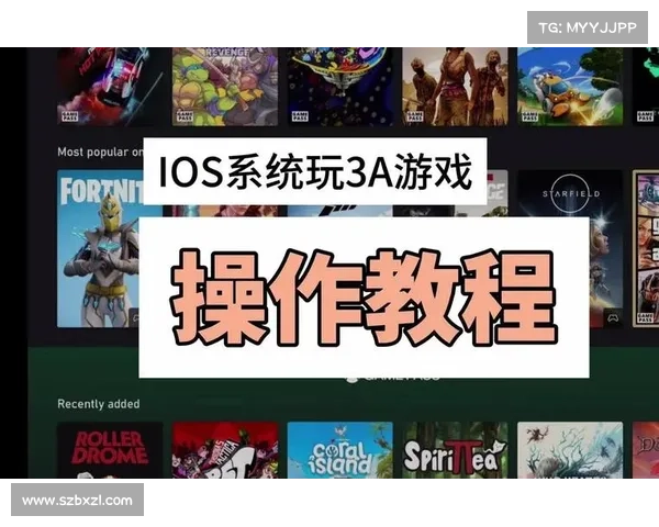 2013年热门网络游戏畅玩指南全解析 玩转经典之作不容错过 2013年热门网络游戏畅玩指南全解析 玩转经典之作不容错过