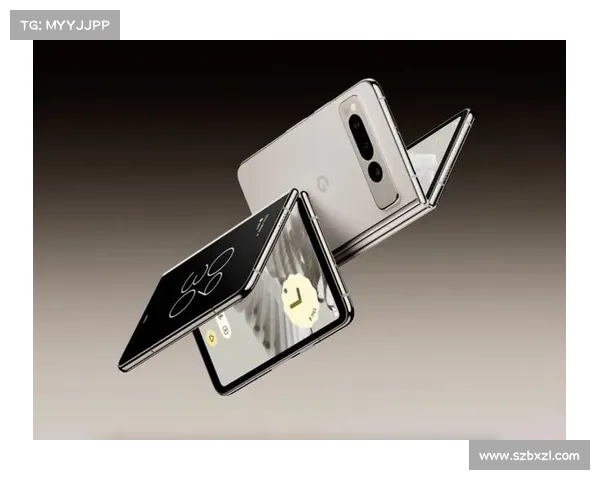 PIXEL官方网站：探索智能科技引领的未来生活新篇章