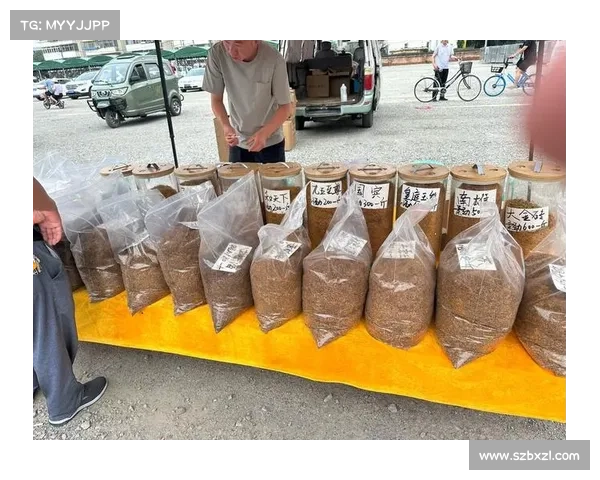 DK宏技术应用研究中的主要挑战与应对策略分析 DK宏技术应用研究中的主要挑战与应对策略分析