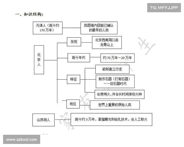 探秘祖先兑换表背后的文化传承与人类文明交流意义指南