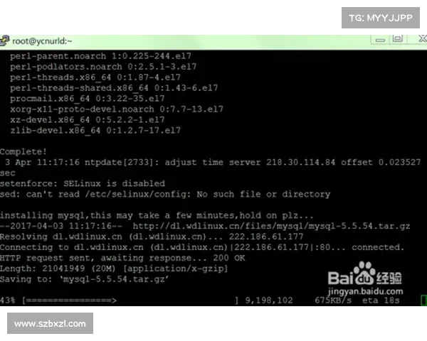 朱雀天境全攻略：详细步骤教你轻松进入并征服这片神秘领土