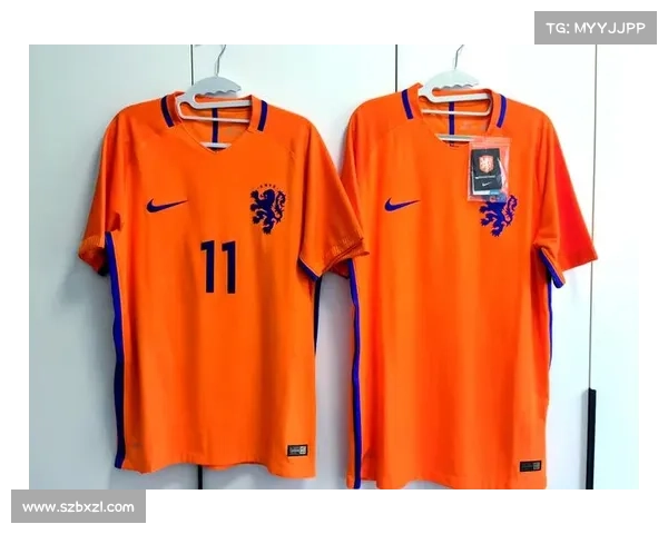 从三大猜想解析荷兰队为何舍弃经典橙色战袍背后原因 从三大猜想解析荷兰队为何舍弃经典橙色战袍背后原因