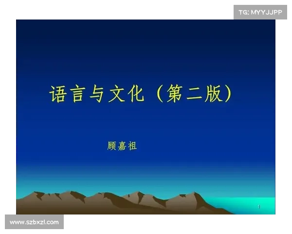 巴舒亚伊语言使用的文化背景与社会影响分析
