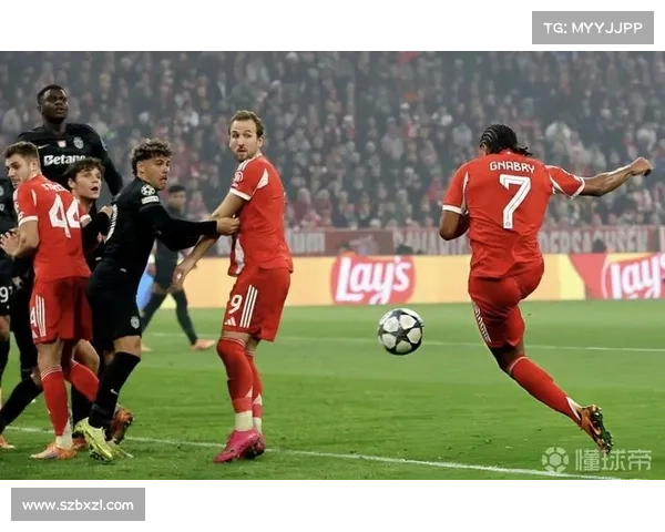 揭秘哈里凯恩的非凡实力与技艺展现背后的努力与坚持