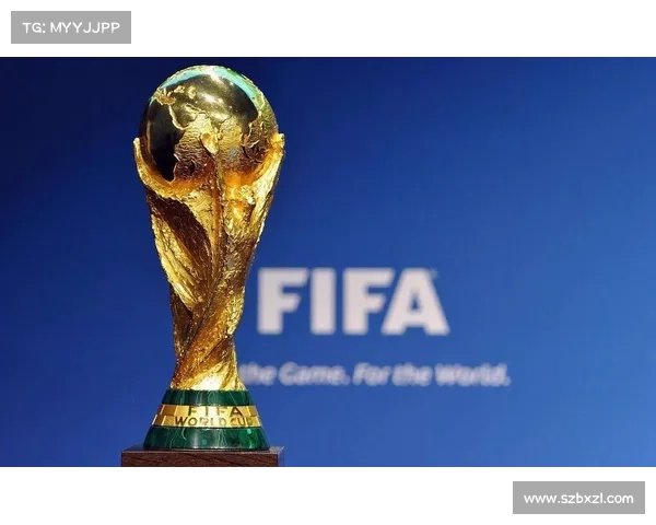 德媒：阿方索重伤后拜仁可向国际足联请求赔偿保障球队利益