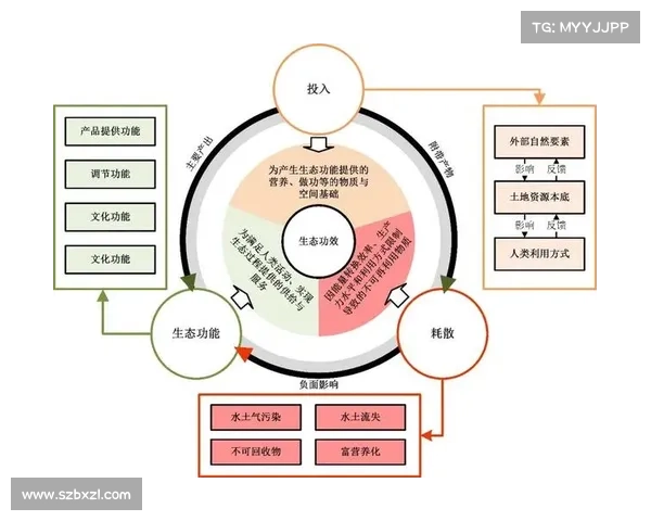 成为队伍核心的三大关键因素解析与实践策略